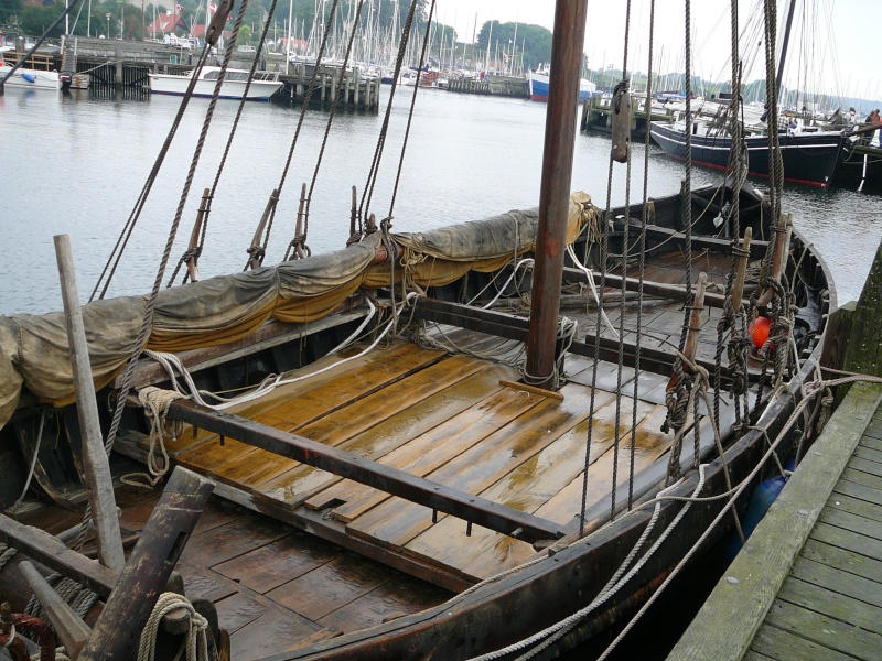 rassemblement navires viking a Roskilde-retour du Havingsten P1040322