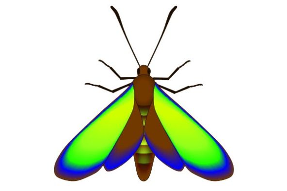 Histoire d'un papillon fossile Papill10