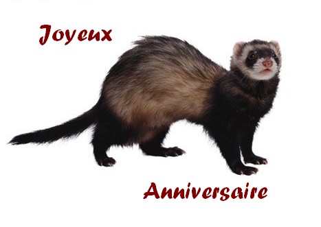 Joyeux Anniversaire Estan 62508111