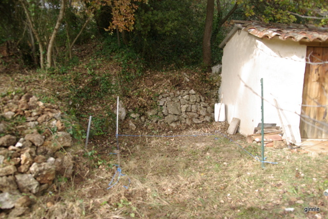 Serre chaude pour orchidées (projet 2015) Imgp6220