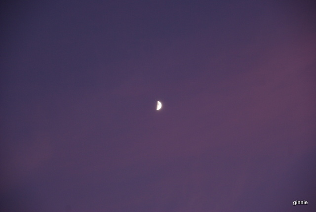 Lady Lune Imgp6317