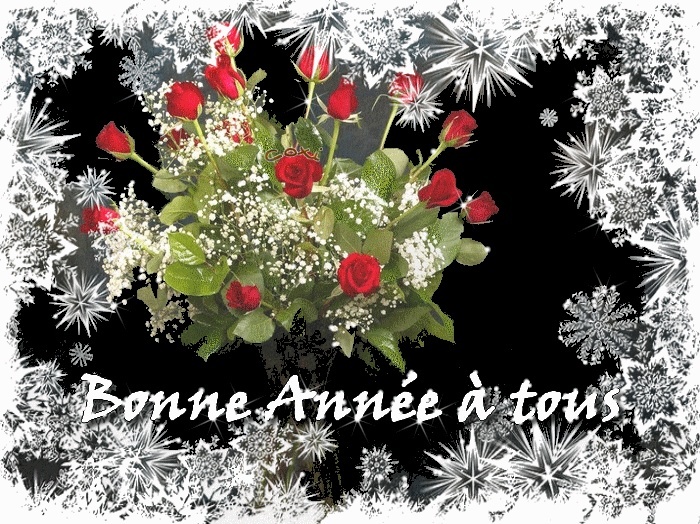 Bonne année 2014 Bonne_11