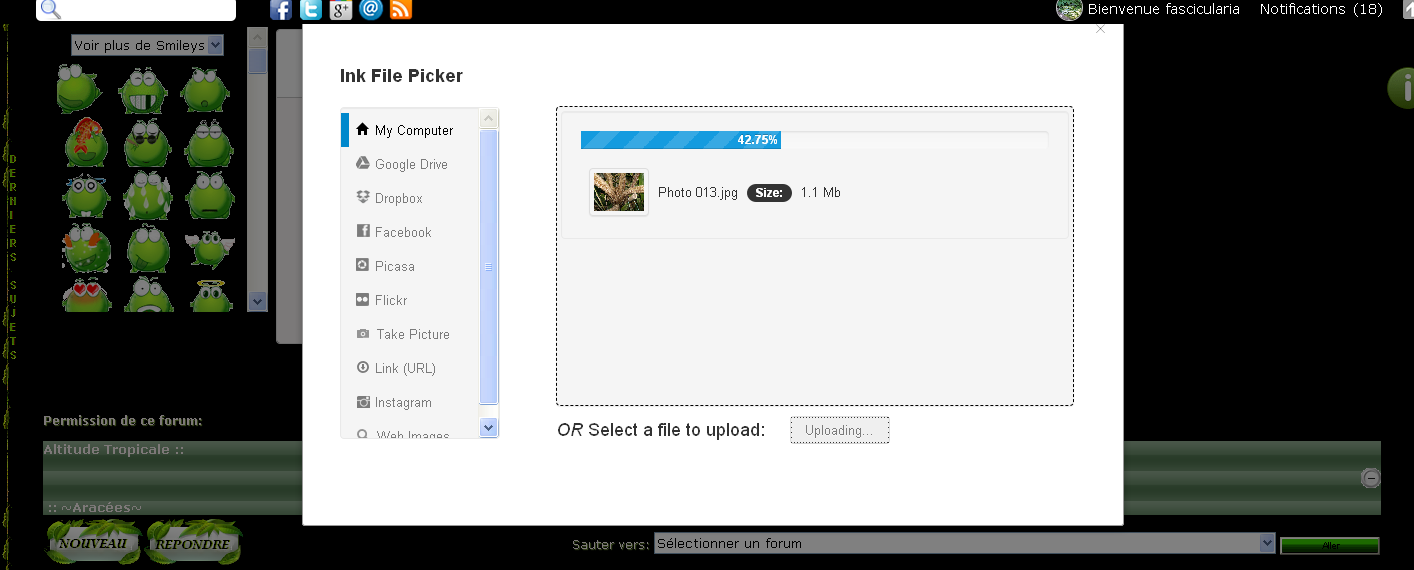 [TOUTES VERSIONS] Installer Filepicker - Un gestionnaire d'upload de fichiers multi-sources gratuit Sans_t31