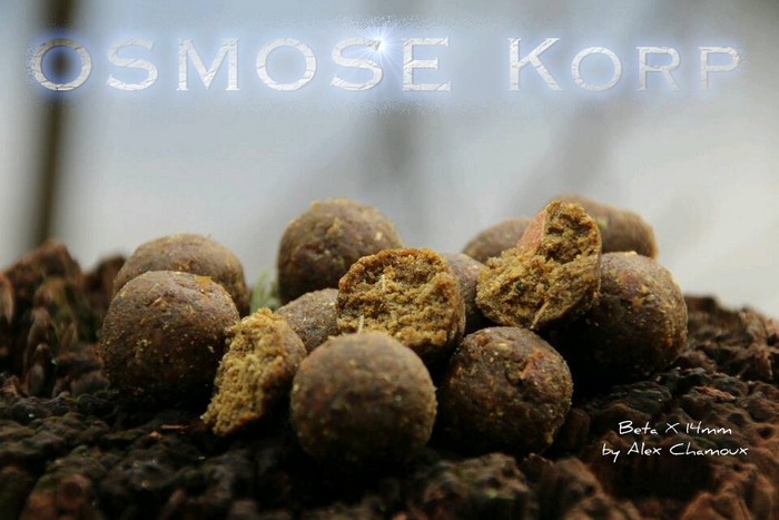 Osmose Korp Quality Nothing Else