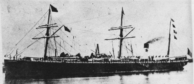 RED STAR LINE Vaderl10