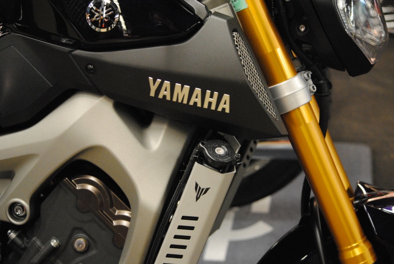 Yamaha MT-09 - Page 9 Dsc_1212