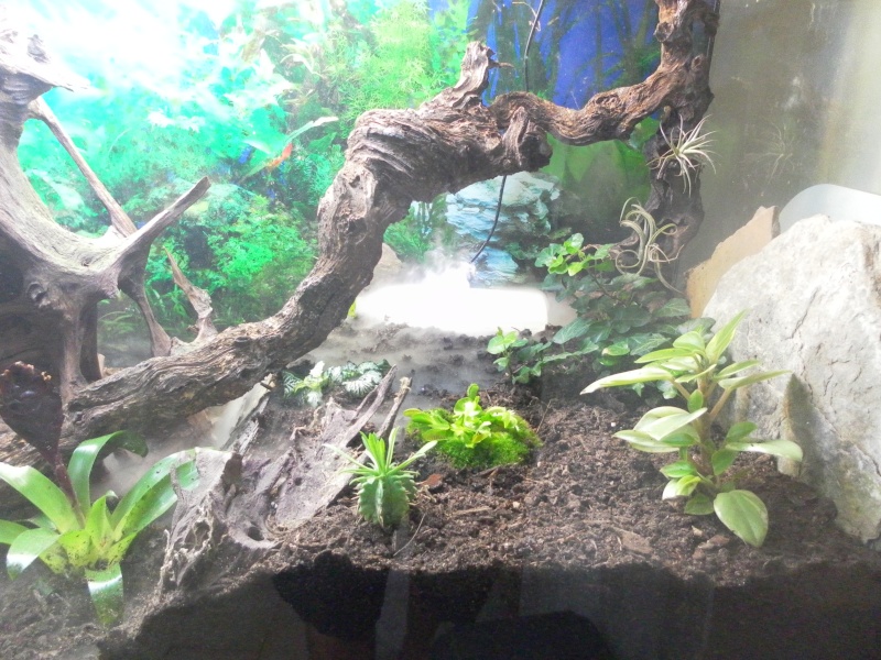 terrarium Sam_1621