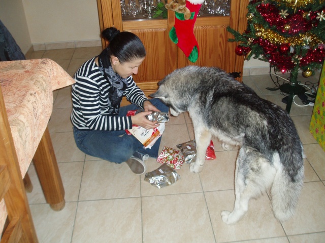 Le post de mon Snow ...ma dernière adoption + ses copains Pc258911