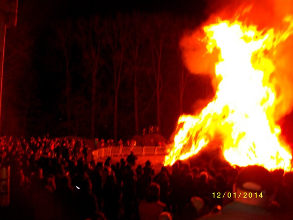 2014 - Quelque tofs du brûlage des sapins a Bois Seigneur Isaac 12/01/2014 Tof_0010