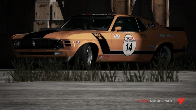 TCR Vintage Trans Am Media Stang110