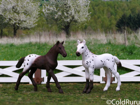 Appaloosa robe clearance