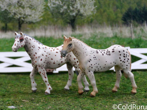 Appaloosa robe top