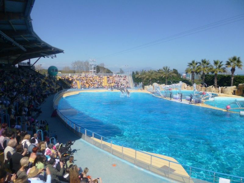 Une journée a Marineland le 14 avril 2013 avec un temps d'été 5610