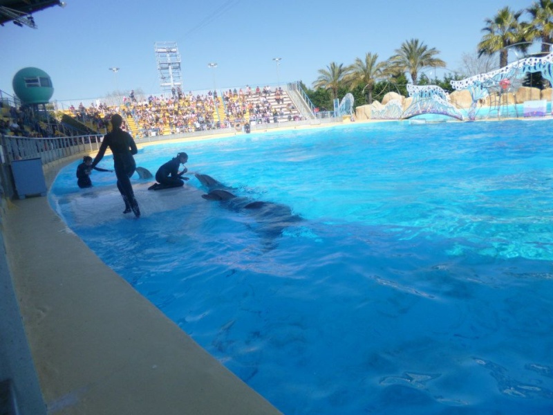 Une journée a Marineland le 14 avril 2013 avec un temps d'été 6110