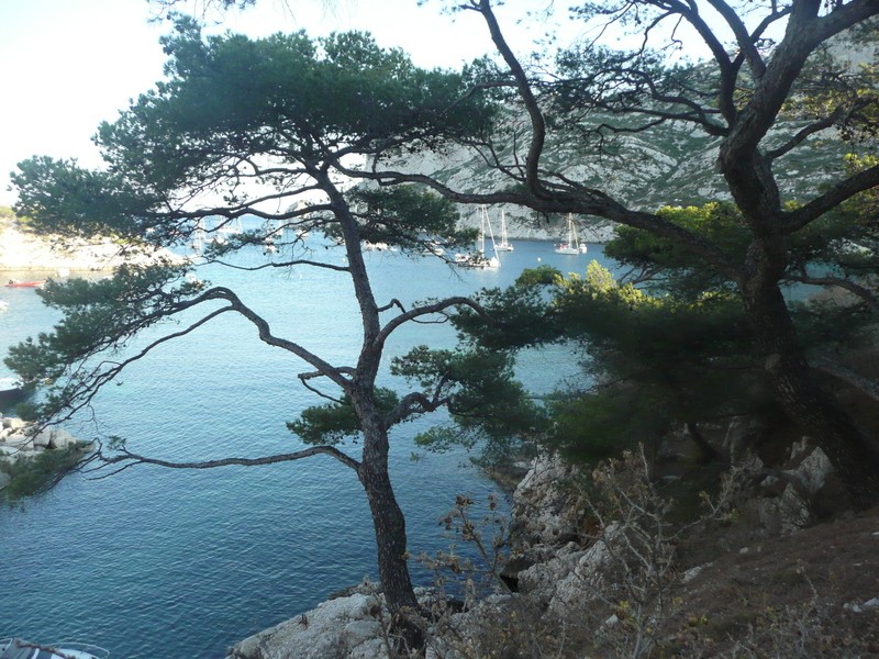 LES CALANQUES DE CASSIS P1020010