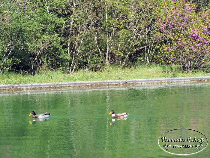 Ballade pour ce beau printemps 2014 1710