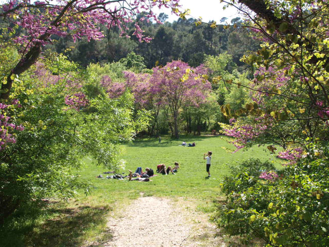 La vallée rose "Vallée de st Pons à Gémenos" B du R 70451910