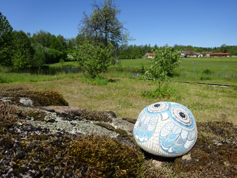 [WEEK-END]  Les 1000 Etangs, saut de l'Ognon, Château d'Oricourt (70) (Mai 2021) Dsc01212