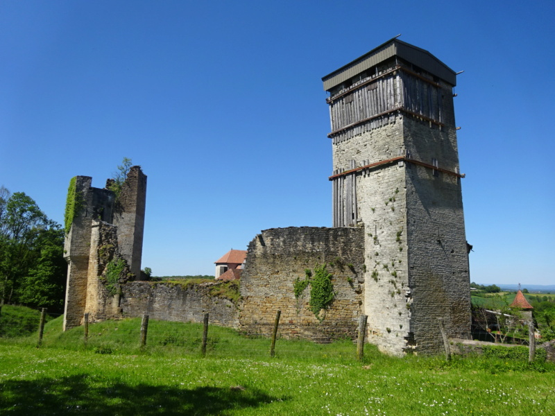 [WEEK-END]  Les 1000 Etangs, saut de l'Ognon, Château d'Oricourt (70) (Mai 2021) Dsc01220