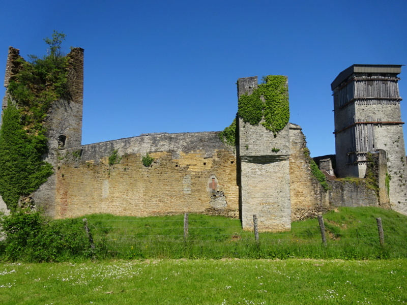 [WEEK-END]  Les 1000 Etangs, saut de l'Ognon, Château d'Oricourt (70) (Mai 2021) Dsc01223