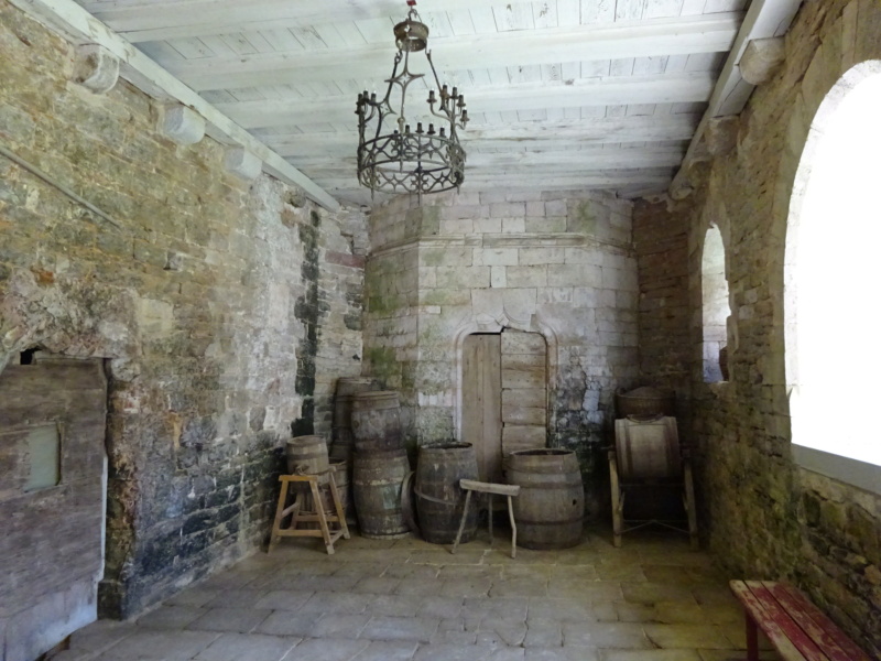 [WEEK-END]  Les 1000 Etangs, saut de l'Ognon, Château d'Oricourt (70) (Mai 2021) Dsc01229