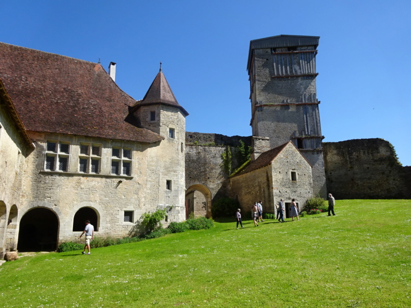 [WEEK-END]  Les 1000 Etangs, saut de l'Ognon, Château d'Oricourt (70) (Mai 2021) Dsc01232