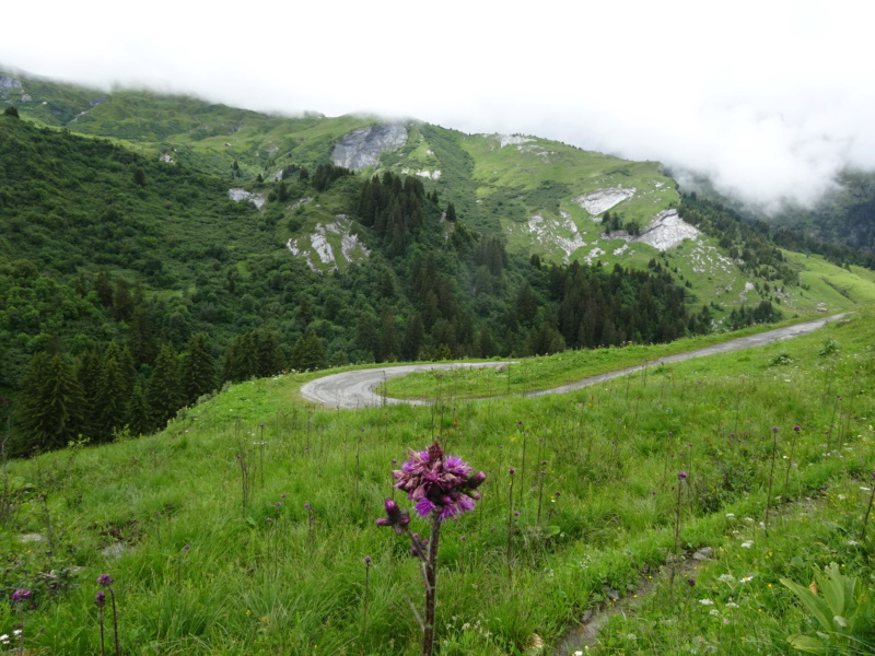 [ROAD TRIP] Les Alpes en Ford Nugget (Juil 2021) Dsc03412