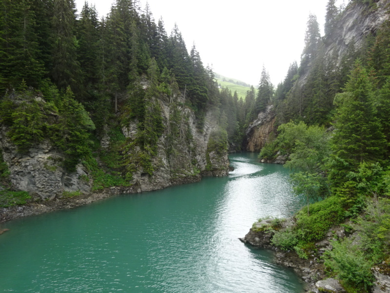 [ROAD TRIP] Les Alpes en Ford Nugget (Juil 2021) Dsc03415