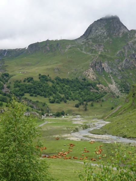[ROAD TRIP] Les Alpes en Ford Nugget (Juil 2021) Dsc03432