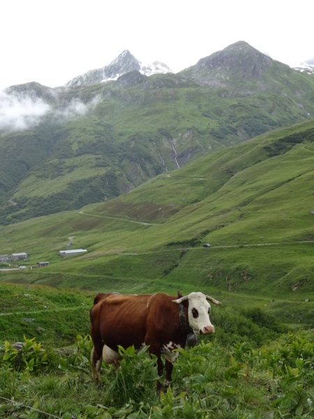 [ROAD TRIP] Les Alpes en Ford Nugget (Juil 2021) Dsc03437