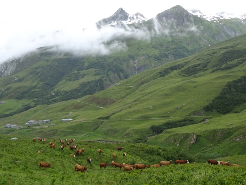 [ROAD TRIP] Les Alpes en Ford Nugget (Juil 2021) Dsc03510