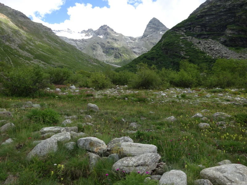 [ROAD TRIP] Les Alpes en Ford Nugget (Juil 2021) Dsc04217