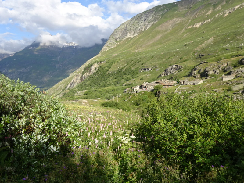 [ROAD TRIP] Les Alpes en Ford Nugget (Juil 2021) Dsc04235