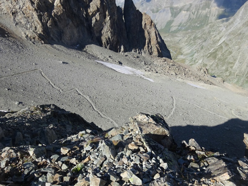 [MONTAGNE] Le tour de la Meije dans le Parc National des Ecrins (Août 2020)  - Page 2 Dsc07013