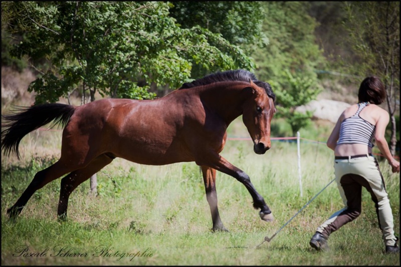 Mes deux U Reale710