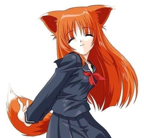 **GATOS DEL ANIME** Foxgir10