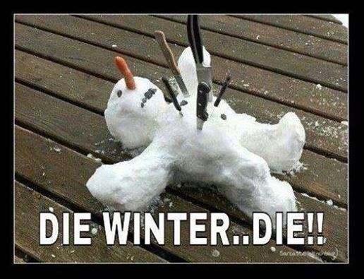 Snowman Funnies Die_wi10