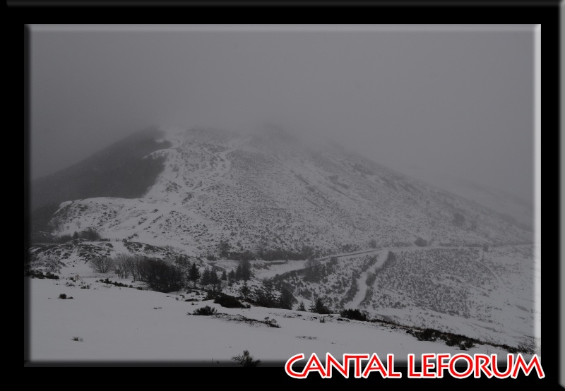 Le Puy Mary - Page 2 Dsc_0329