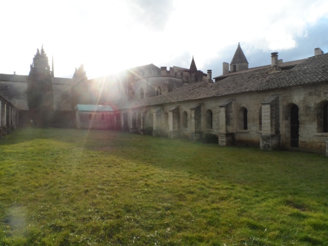 Une balade en Provence au mois de décembre  Sam_3218