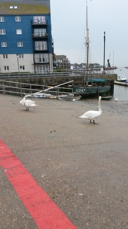 Littlehampton Harbour Hh3_bm10