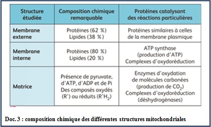 Chapitre 2: Production d'energie chez les cellules non chlorophylliennes Compo_10