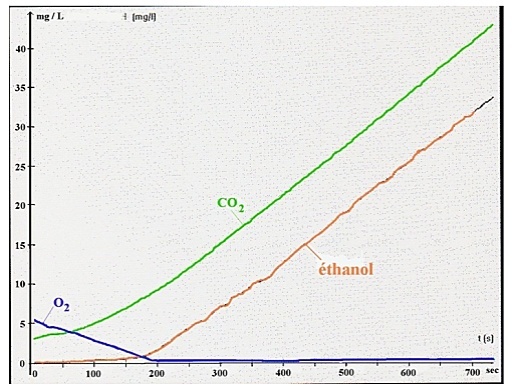 Chapitre 2: Production d'energie chez les cellules non chlorophylliennes Graphe10