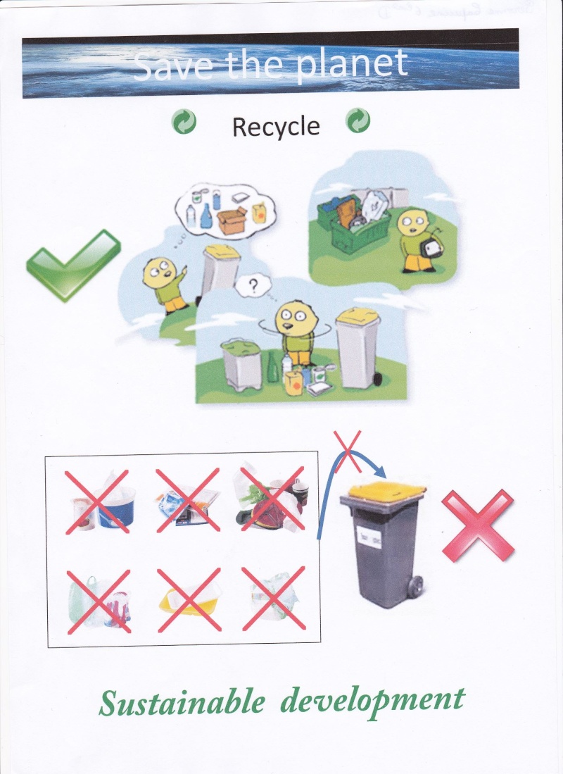 6è DD Création d'affiches sur le développement durable en anglais