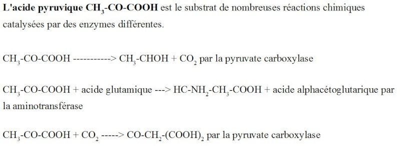 Chapitre 4: La glycémie, paramètre du milieu intérieur Specif10