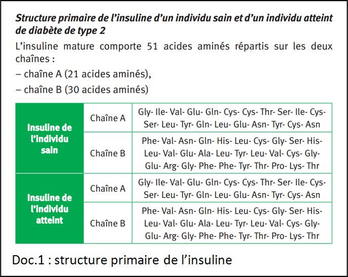 Chapitre 6 Les diabètes: une régulation glycémique anormale Struct11