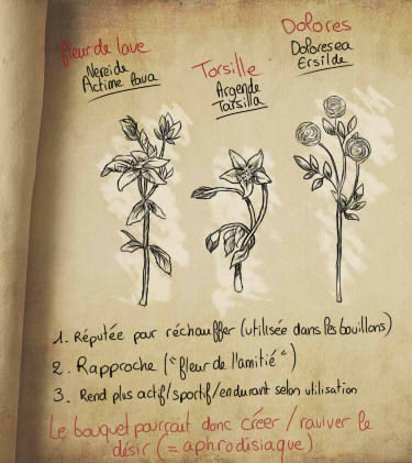 botanique, cours n°3, 6ème années • le langage des fleurs Sans_t10