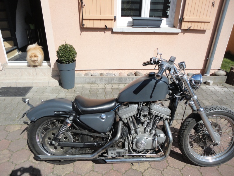 Harley 883 mod.90 Dsc04814