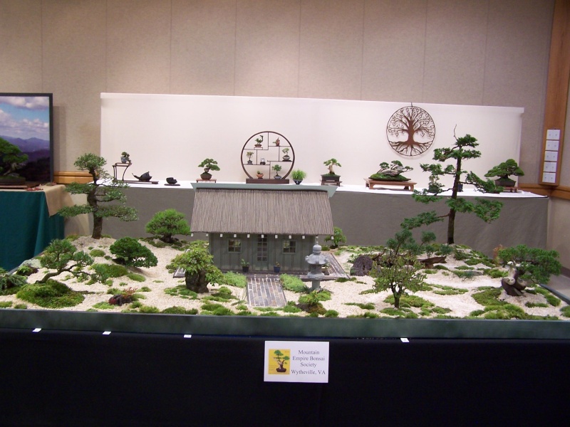 Carolina Bonsai Expo pics Mt_emp10