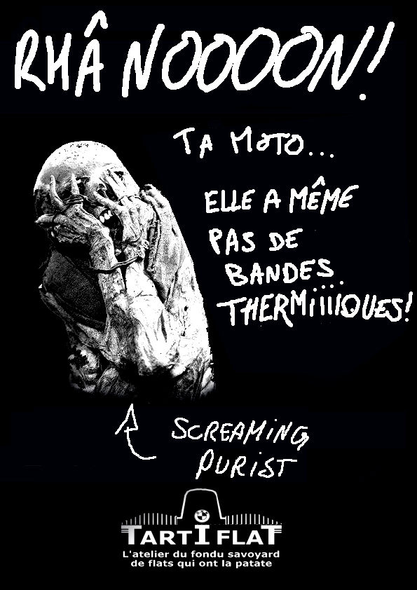 Puriste s'abstenir Scream10