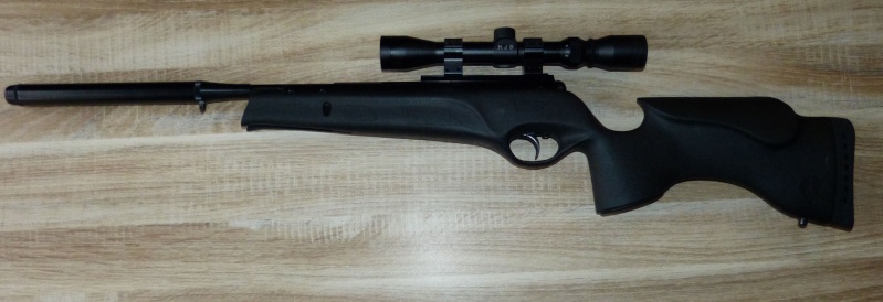 12 mètres debout avec BSA tactical XL 10 joules P1080911